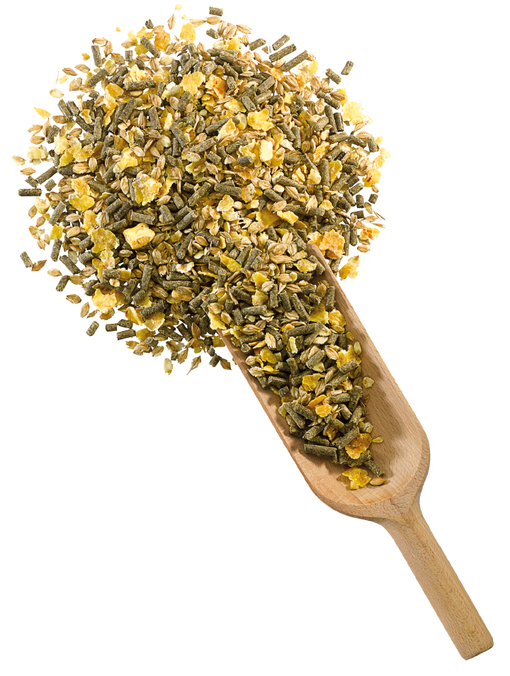 DERBY Cool & Fit DERBY Cool & Fit